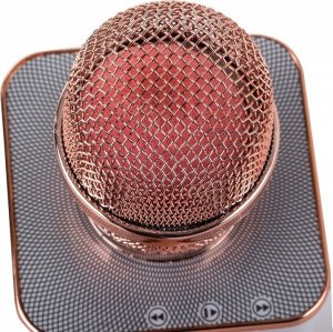 Mikrofon Verk Karaoke 8