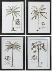 DKD Home Decor Obraz DKD Home Decor Palmy Kolonialny 50 x 2,5 x 70 cm (4 Sztuk) 1