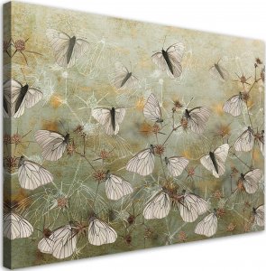 Feeby Obraz na płótnie, Abstrakcyjne motyle na łące 100x70 100x70 1