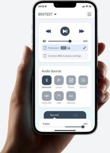 Arylic Arylic B50 Multi Wejściowy Wzmacniacz Audio z Odbiornikiem i Nadajnikiem Bluetooth 13