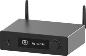 Arylic Arylic H50 - Bezprzewodowy wzmacniacz stereo 2