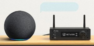 Arylic Arylic H50 - Bezprzewodowy wzmacniacz stereo 7