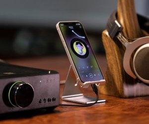 Kabel USB FiiO USB-B - Lightning 0.5 m Czarny (6953175730873) 4