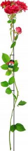 Kadax Podpora Obejma Stojak Na Róże Pnącza Stalowa 150cm 1