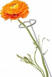 Kadax Podpora Podpórka Do Roślin Kwiatów Róż Stal 90 cm 1