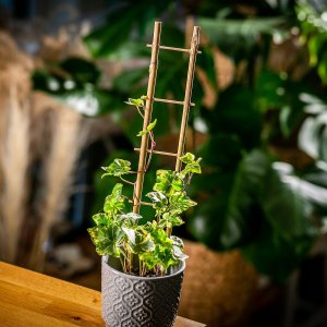 Kadax Drabinka Bambusowa Podpora Pnączy Podwójna 38cm 2