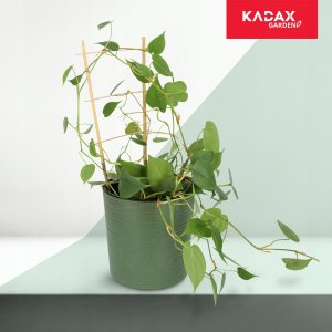 Kadax Drabinka Bambusowa Podpora Pnączy Podwójna 43cm 4