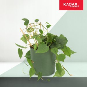 Kadax Drabinka Bambusowa Podpora Pnączy Potrójna 26cm 4