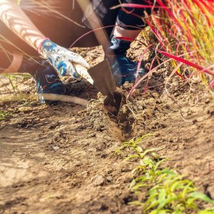 Kadax Motyczka Motyka Mała Do Gleby Drewniany Trzonek 7