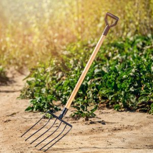 Kadax Widły Gable Do Buraków Ziemniaków Kamienia 6 Zębów 4