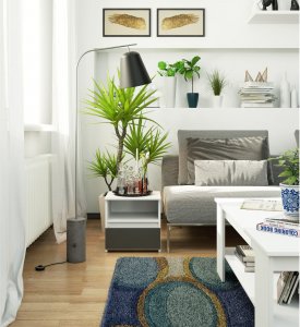 Fabryka Mebli Akord Szafka nocna CL1 40 cm 1 szuflada - biała - grafit szary 4