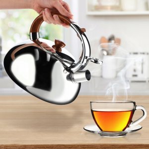 Kadax Czajnik Na Gaz Z Gwizdkiem Stalowy 2,5L Srebrny 2