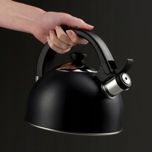 Kadax Czajnik Na Gaz Indukcja Z Gwizdkiem Stalowy 1,7L 7