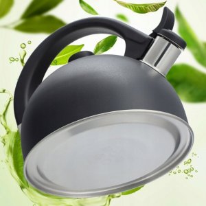 Kadax Czajnik Na Gaz Indukcja Z Gwizdkiem Stalowy 1,7L 8