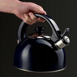 Kadax Czajnik Na Gaz Indukcja Z Gwizdkiem Stalowy 1,7L 7