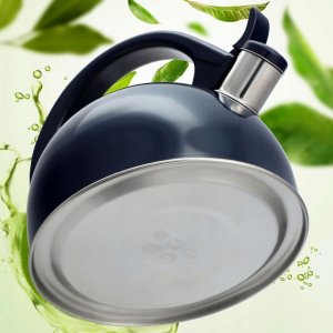 Kadax Czajnik Na Gaz Indukcja Z Gwizdkiem Stalowy 1,7L 8