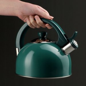 Kadax Czajnik Na Gaz Indukcja Z Gwizdkiem Stalowy 1,7L 7