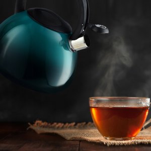 Kadax Czajnik Na Gaz Indukcję Z Gwizdkiem Zielony 2,6L 4