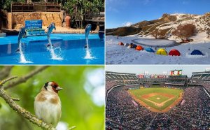 Lornetka Kf Profesjonalna Lornetka K&f 12x 32mm 12x32 Bak4 Ip65 + Etui / Kf33.071 10