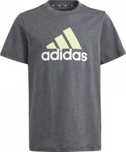 Adidas Koszulka adidas Big Logo Tee Jr IJ6286 1