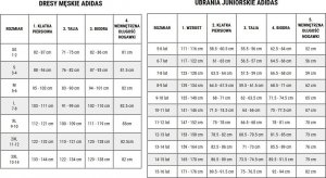 Nike Football Spodenki damskie Nike Dri-FIT Academy szare CV2649 060 XL 10