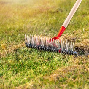 Kadax Aerator Ręczny + Trzon Wertykulator Dwustronny 6