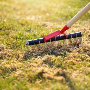 Kadax Aerator Ręczny Wertykulator Do Trawy Jednostronny 6