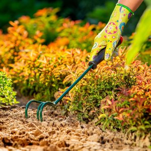 Kadax Spulchniacz Kultywator Gleby Ręczny Ogrodowy 30cm 3