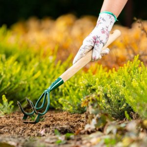 Kadax Spulchniacz Kultywator Gleby Ręczny Ogrodowy 30cm 3