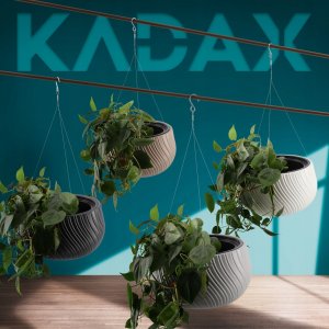 Kadax Donica Doniczka Wisząca Okrągła Misa Szara 29,5cm 6