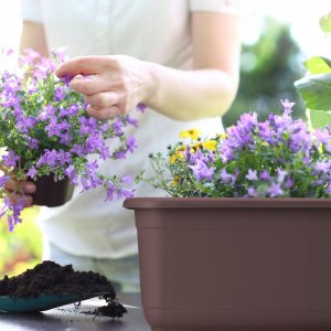 Kadax KADAX Doniczka Skrzynka Balkonowa 80cm Brązowa 2