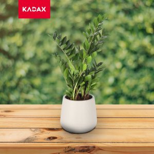 Kadax Doniczka Osłonka Na Kwiaty Podstawka Beżowa 13cm 2