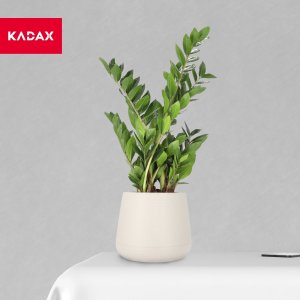 Kadax Doniczka Osłonka Na Kwiaty Podstawka Beżowa 13cm 7