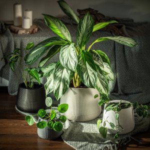 Kadax Doniczka Osłonka Na Kwiaty Podstawka Beżowa 13cm 8