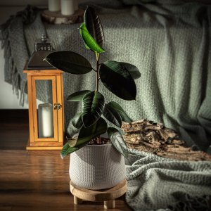 Kadax Doniczka Osłonka Na Kwiaty Podstawka Beżowa 13cm 9