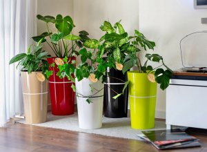 Kadax Doniczka Osłonka Na Kwiaty Wysoka 25cm Limonkowa 11