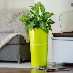 Kadax Doniczka Osłonka Na Kwiaty Wysoka 25cm Limonkowa 5