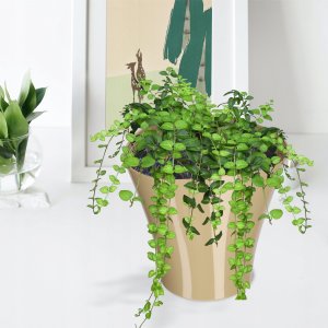 Kadax Doniczka Osłonka Na Kwiaty Wewnątrz Beżowa 16 cm 7