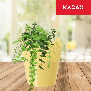 Kadax Doniczka Osłonka Na Kwiaty Rośliny Żółta 12cm 6