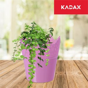 Kadax Doniczka Osłonka Na Kwiaty Rośliny Różowa 14,5 cm 6