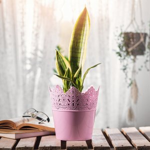 Kadax Doniczka Osłonka Na Kwiaty Rośliny Różowa 14,5 cm 8