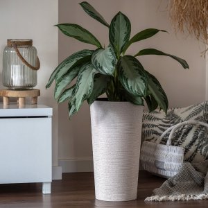 Kadax Doniczka Osłonka Na Kwiaty Ekologiczna Biała 19cm 2