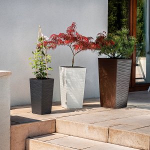 Kadax Zestaw 3x Doniczka Donica Wkład Grafit Dłuto Duża 8