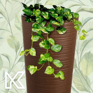 Kadax Zestaw 3x Doniczka Donica Ogrodowa + Wkład Brązowa 10