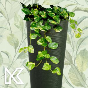 Kadax Zestaw 3x Doniczka Donica Ogrodowa + Wkład Zielona 9