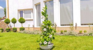 Kadax Stożek Ogrodowy Podpora Do Roślin Pnączy 150cm 2