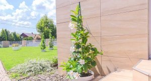 Kadax Stożek Ogrodowy Podpora Do Roślin Pnączy 150cm 3