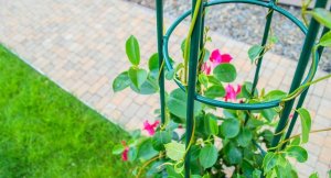 Kadax Stożek Ogrodowy Podpora Do Roślin Pnączy 150cm 4