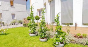 Kadax Stożek Ogrodowy Podpora Do Roślin Pnączy 150cm 6