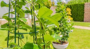 Kadax Stożek Ogrodowy Podpora Do Roślin Pnączy 150cm 7